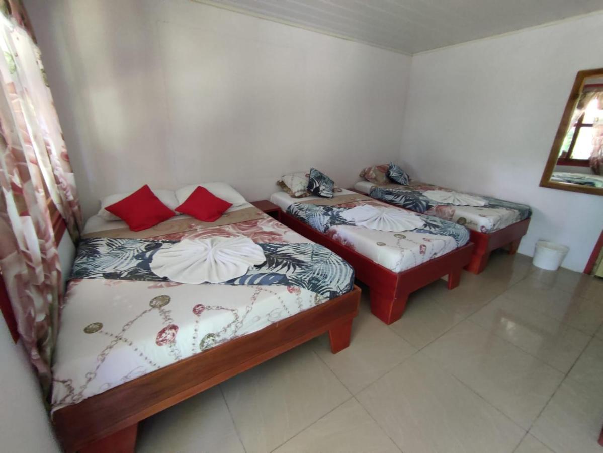 Cabanas Daneysha Tortuguero Kültér fotó