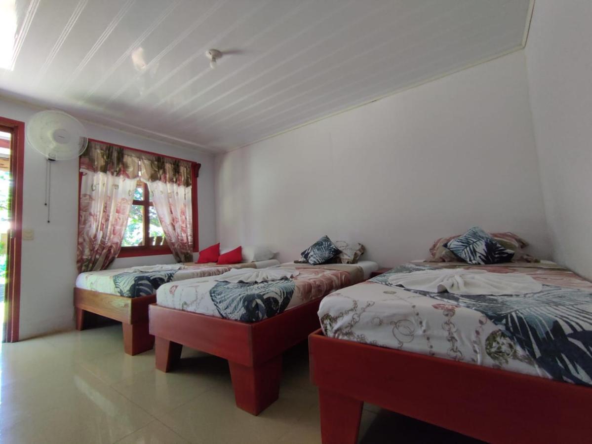 Cabanas Daneysha Tortuguero Kültér fotó