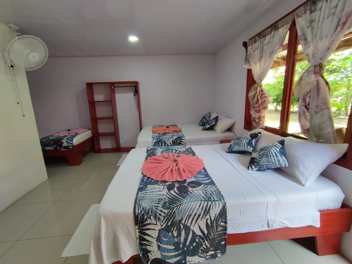 Cabanas Daneysha Tortuguero Kültér fotó