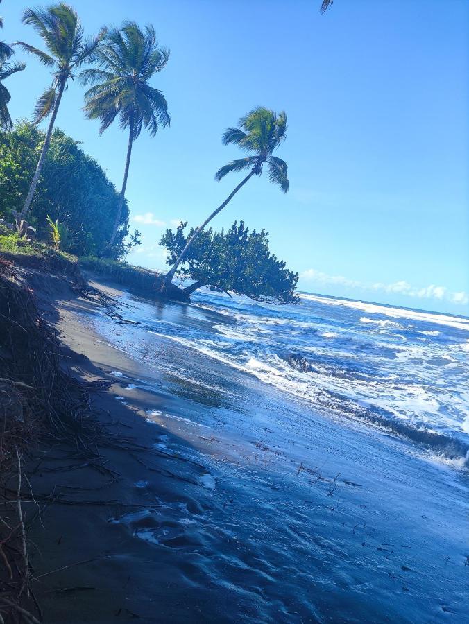 Cabanas Daneysha Tortuguero Kültér fotó